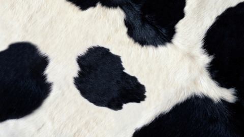 Leaked milkytits95 header onlyfans leaked