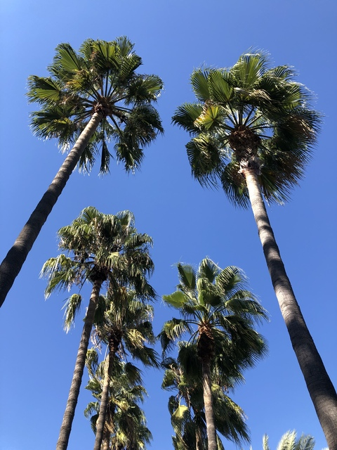 Leaked mishkateddybear header onlyfans leaked