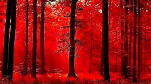 Leaked ms_autumn22 header onlyfans leaked