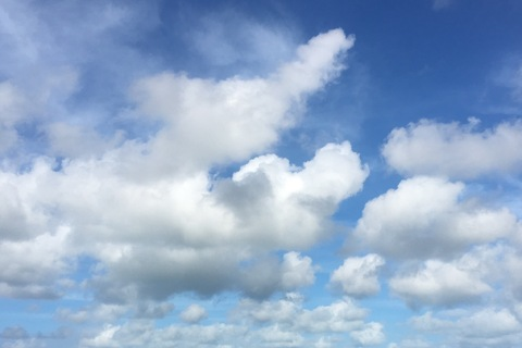 Leaked nelly.marie header onlyfans leaked