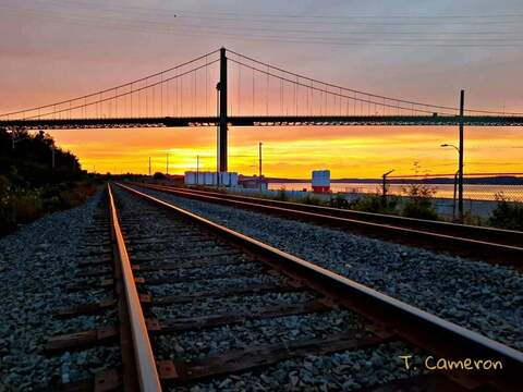 Leaked noir_nikita header onlyfans leaked