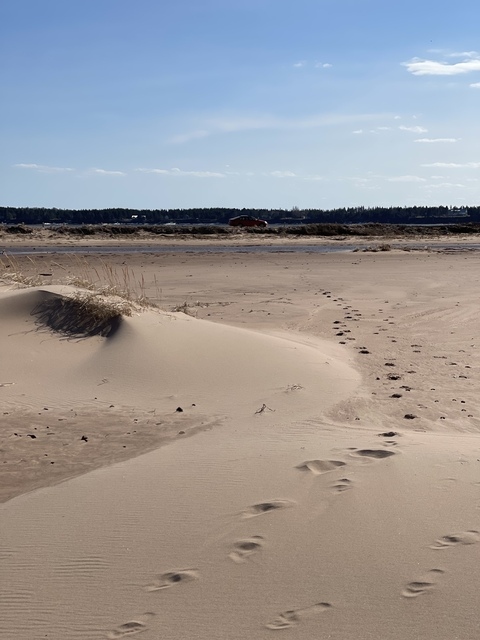 Leaked ojuicyjayy_free header onlyfans leaked