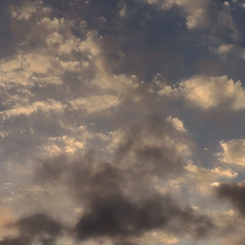 Leaked paleta header onlyfans leaked