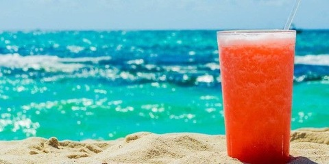 Leaked parrothead1407 header onlyfans leaked