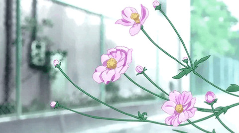 Leaked plantpixii header onlyfans leaked