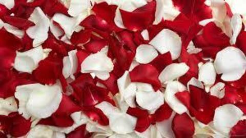 Leaked queennikkiii header onlyfans leaked