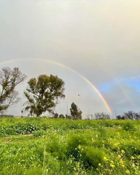 Leaked selena_gray header onlyfans leaked