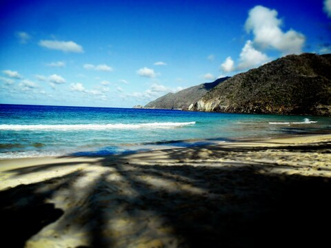 Leaked shigaraki header onlyfans leaked