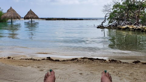 Leaked show-me-your-kitties header onlyfans leaked