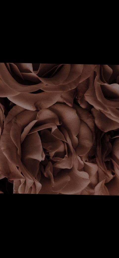 Leaked sofiavelizar header onlyfans leaked