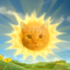 solarkitty Profile Picture