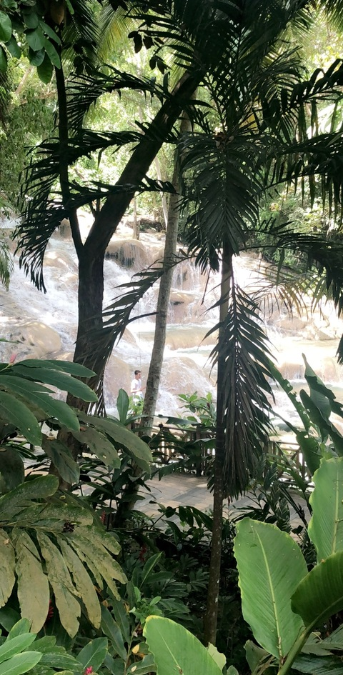 Leaked somebodison header onlyfans leaked