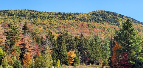 Leaked spicybeardedflannel header onlyfans leaked