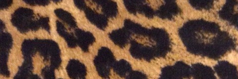 Leaked st0n3rprincessfeet header onlyfans leaked