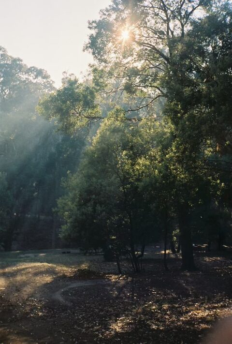 Leaked surfingparrot header onlyfans leaked