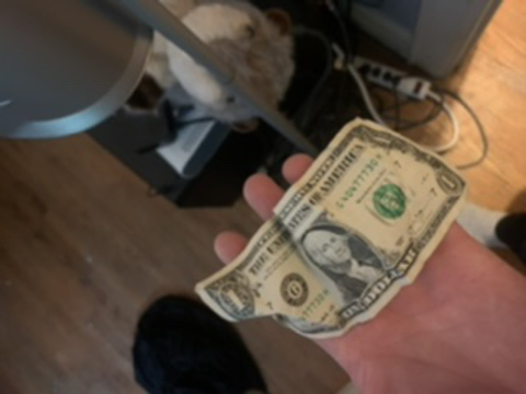 Leaked testuserson header onlyfans leaked