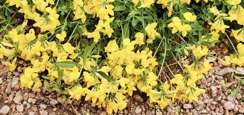 Leaked thatbitchtaylor header onlyfans leaked