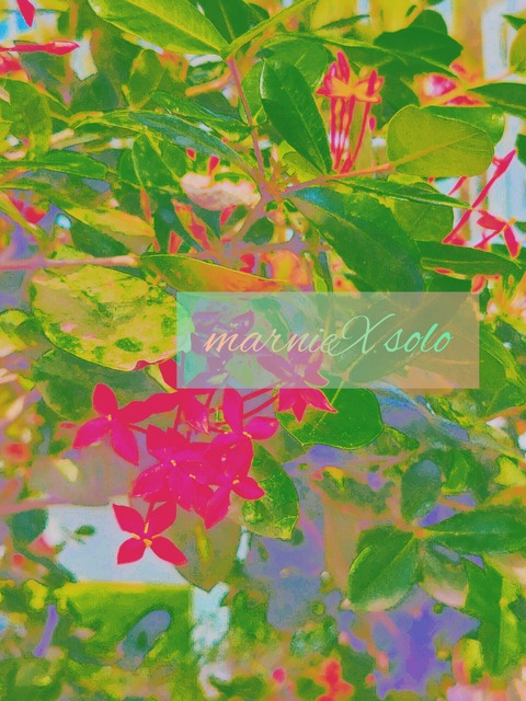 Leaked thesavorysolo header onlyfans leaked