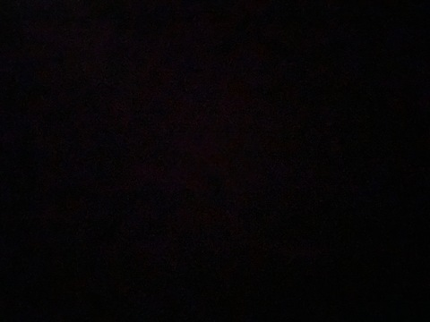 Leaked tommywildfeet header onlyfans leaked