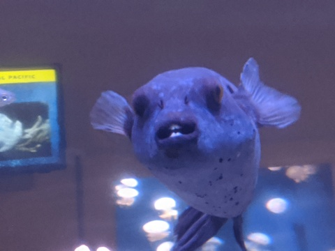 Leaked tsrileyparker header onlyfans leaked