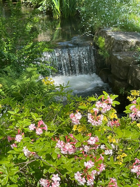 Leaked tyche_baby header onlyfans leaked