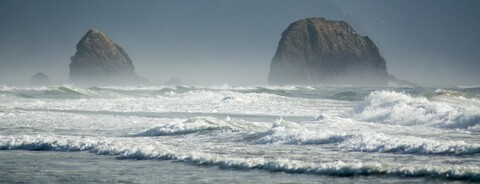 Leaked tylerwh header onlyfans leaked