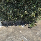 Leaked u36951336 onlyfans leaked