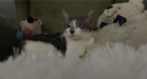 Leaked wifeybreadstick header onlyfans leaked