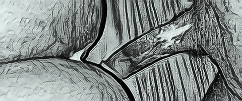 Leaked wmfjaygee header onlyfans leaked