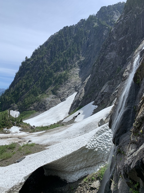 Leaked xxxoccamy header onlyfans leaked